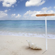poteau indicateur sur plage tropicale