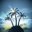 Three palm trees