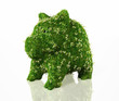 piggy bank covered with grass