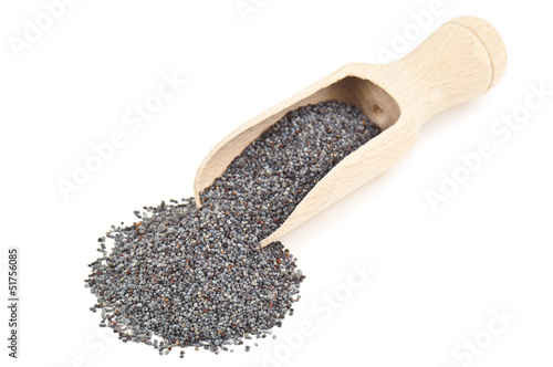 Photo: poppy seed poppy seed