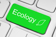 Illustration: Ecology concept on green keyboard button . Ecology concept on green keyboard button .