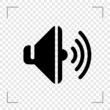 Speaker Icon