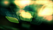 tech background with squares loop