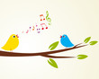 singing bird
