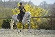 Femme jouant avec son cheval