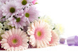 Pink flowers