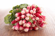 raw radish on wood background