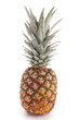 isolated pineapple