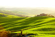 Countryside, San Quirico d´Orcia, Tuscany, Italy