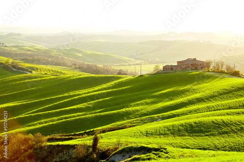 Photo: Countryside, San Quirico d´Orcia, Tuscany, Italy Countryside, San Quirico d´Orcia, Tuscany, Italy