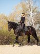 Young woman trains a horse