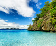 Tropical seashore