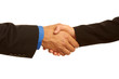 Business handshake sealing the deal
