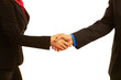 Business handshake sealing the deal