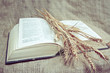 Holy Bible on the fabric