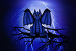 Lightning Dragon