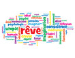 Nuage de Tags "REVE" (imagination sommeil utopie rêves pensées)