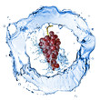 blue grape with water splash isolated on white