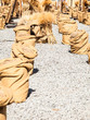 Photo: Ripe Summer Wheat Ripe Summer Wheat