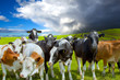 landwirtschaft
