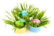 Easter eggs in bowls with grass on table isolated on white