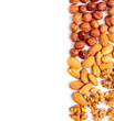 Nuts and text area