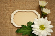 Daisy composition and a card