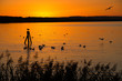 Foto: Sonnenuntergang am See mit Möwen Sonnenuntergang am See mit Möwen