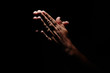 Praying Hands