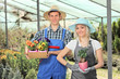 Female and male gardeners holding flower pots in a hothouse
