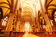 Freiburger Münster