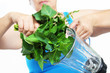 Raw Food
