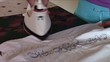 Ironing Blouse Close Up