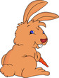 funny rabbit cartoon