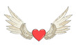 vector wings and heart