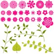 Set of Vector Flowers