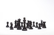 chess pieces on the board