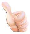Vector: Thumbs up cartoon hand Thumbs up cartoon hand