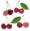 set of red sweet cherry isolated on white