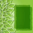 green background with leaves