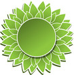 green flower