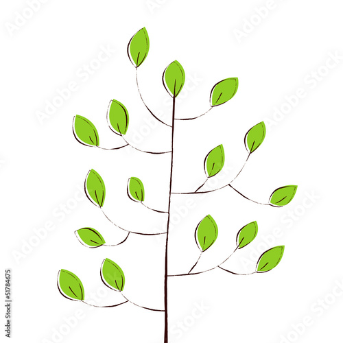 Vector: green leaves of the trees green leaves of the trees