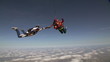Skydiving video. Tandem.