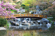 Japanischer Garten im Frühling
