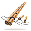 Bamboo ethnic flute, isolated on white background