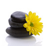 spa accessories - stones and flower