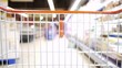 Shopping Cart - moving slowly in the market - orange