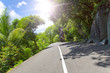 Asphalt road in tropical forest.