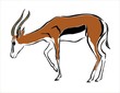 dibujo de una gacela
