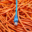 ethernet cables tangled blue and orange